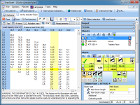 Load capacity table view